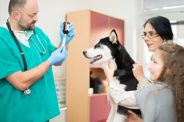 image for Stronger Together: How One Rabies Vaccine Protects a Community
