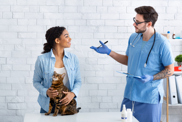 image for More Than a Shot: What Your Pet’s Wellness Visit Can Uncover